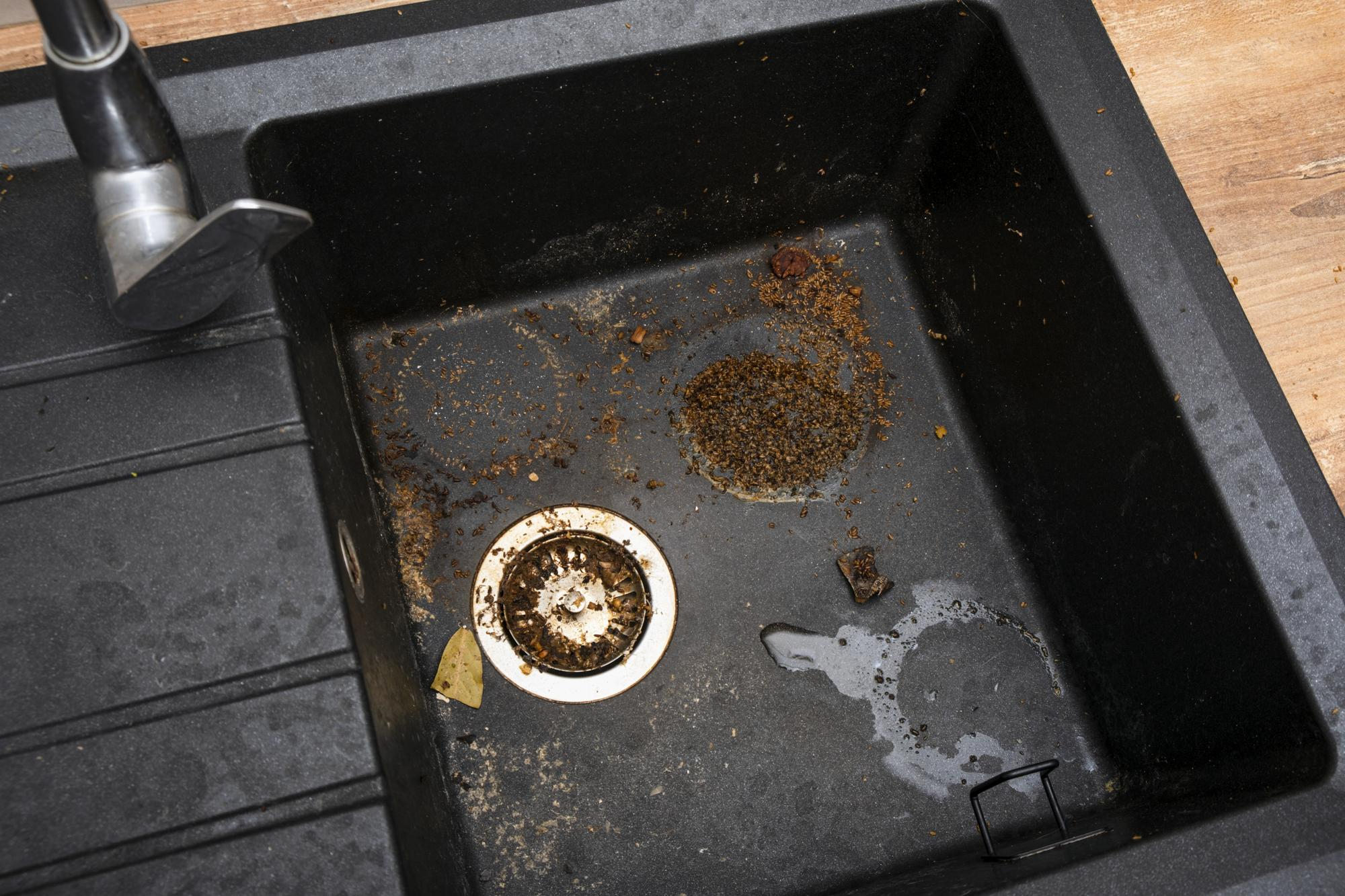 Kitchen drain cleaning